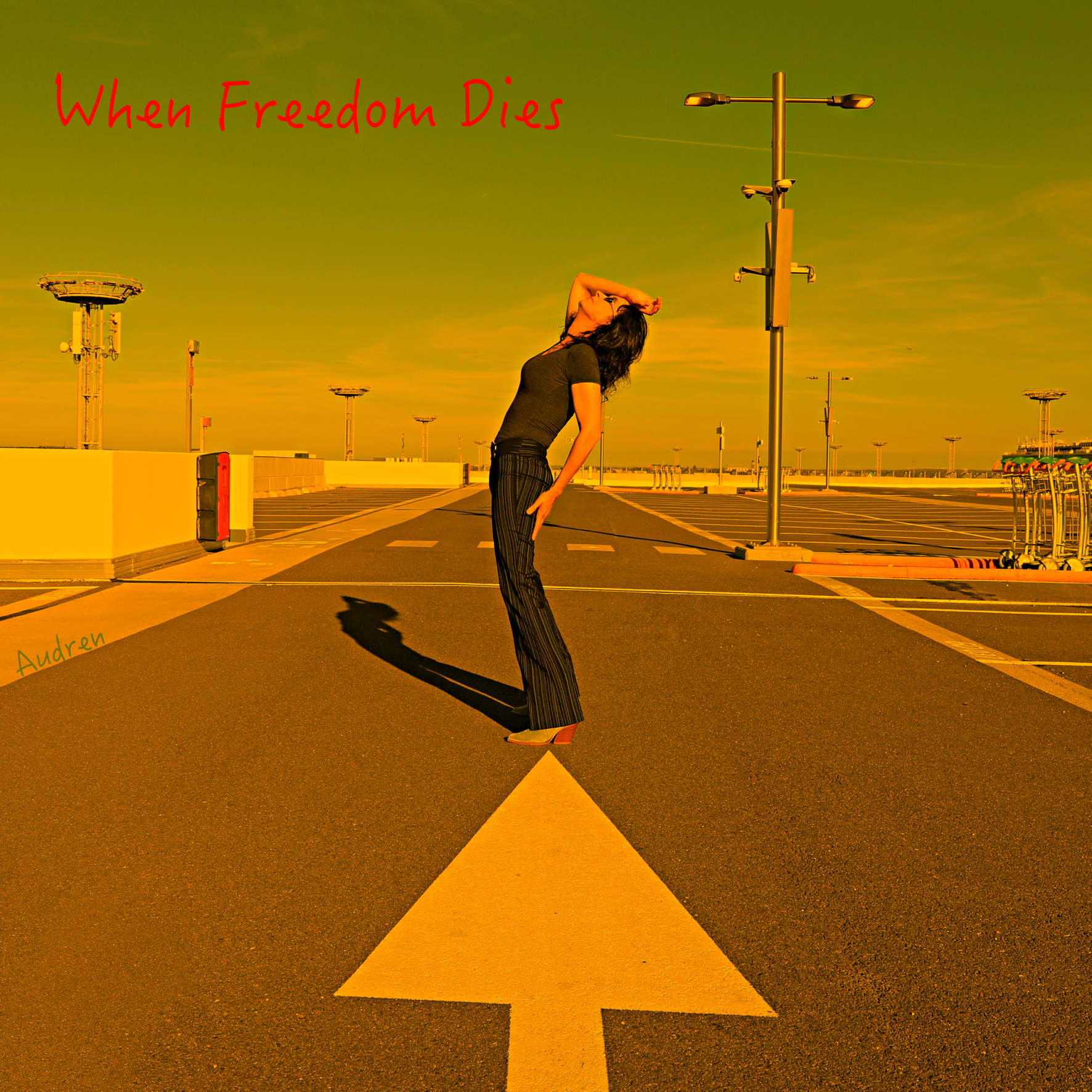 pochette_deffreedompetit