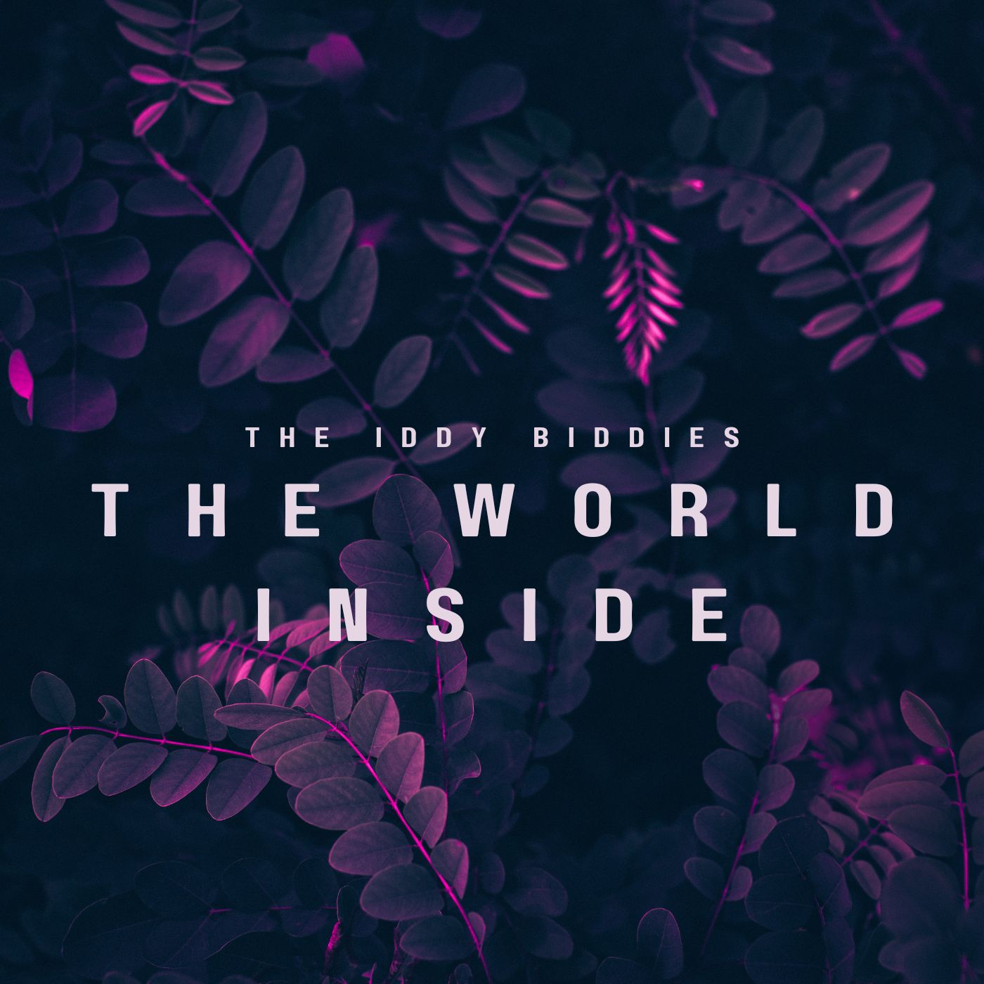 The_World_Inside_-_Album_Cover