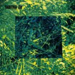 Tabitha_Zu_Heard_IIt_Before