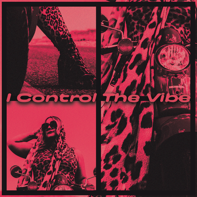 i_control_the_vibe_smallest_file