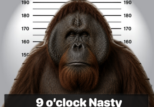 5_foot_2