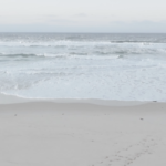 FindmeatHome4_2600px
