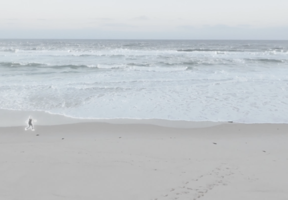 FindmeatHome4_2600px