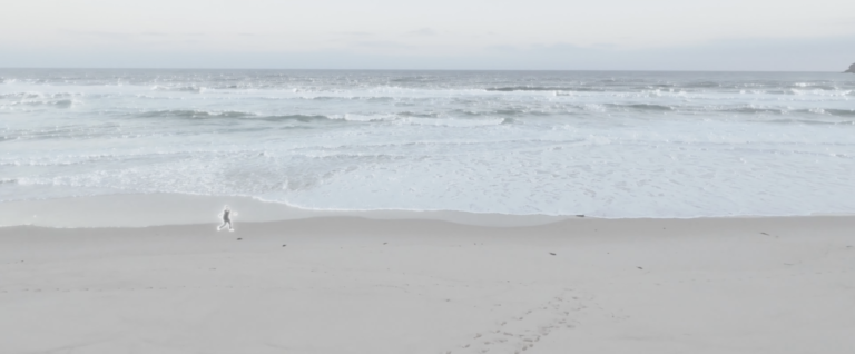 FindmeatHome4_2600px